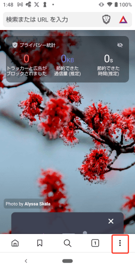 Brave - パスワードの確認(Android)右下の︙